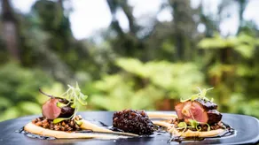 Te Waonui Forest Retreat - Image 3