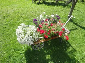 Pension Widauer - Image 4