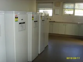 SAV - Image 4