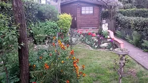 B&B Il Patio - Image 5