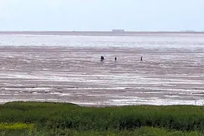 Het Huis van de Wadden - Image 3