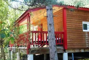 Le camping la Pinède - Image 3
