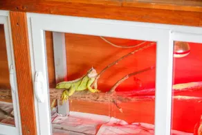 Hotel Shpella - Image 3