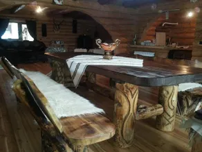 Cabana Vultur - Image 4