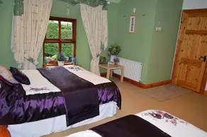 Tinnycross House B&B - Image 4