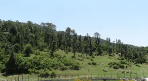 Bholenath Homestay Dalhousie - Image 2