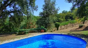 Villa Ulivacci - Image 2