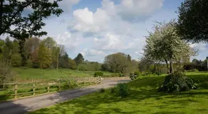 Parnham Cottage - Image 3