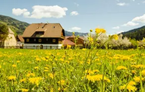 Pension Zechnerhof - Image 2