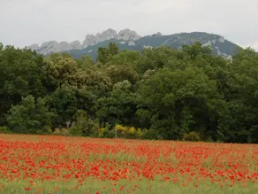 L'Annexe du Château - Image 3