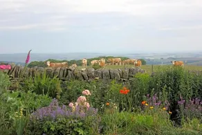 High Keenley Fell Farm - Image 4