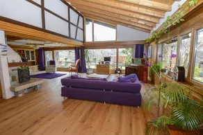 Purplehouse - Image 3
