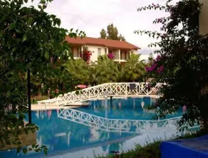 Kentia - Image 3