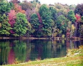 Wolf Run Manor at Treasure Lake - Image 1