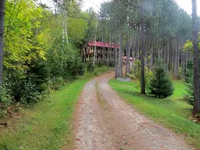 La Maison sous les arbres - Image 4