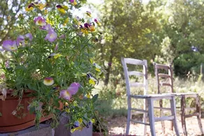 B&B Su Pitiolu - Image 2