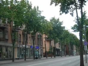 Alis Apartment - Image 2