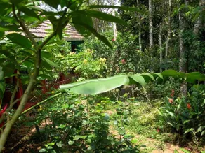 Indhrivanam - Image 4