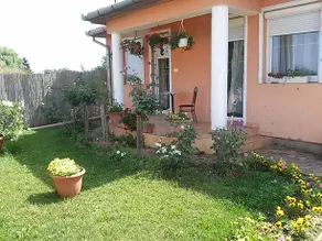 Liget Panzio - Image 4