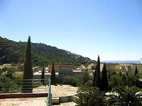 Don Miguel / Mas Oliva - Image 2