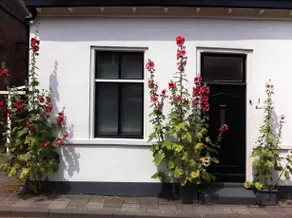 B&B Het Peperhuis - Image 2