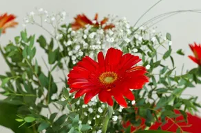 Appartamento Canacci - Image 3