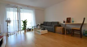 Vienna DC Living Apartment with parking on premise - Image 3