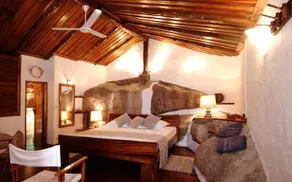 Chauve Souris Relais - Image 3