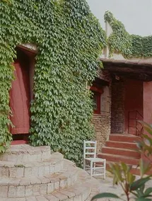 El Pati - Image 4