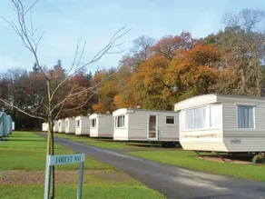 Forest Glade Holiday Park - Image 2