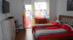 Apartments Nikol - Ludwigshafen - Image 5