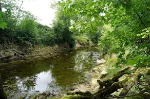 La Houblonniere - Image 2