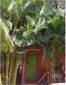 Bay Leaf Resorts - Image 4