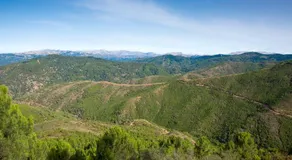 La marikilla - Image 2