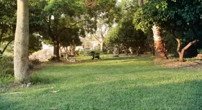 Hosting Orchard - Image 2