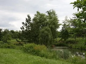 Orleton Court Farm Bed and Breakfast - Image 5