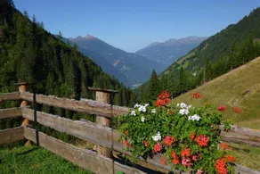 Stranighütte - Image 5