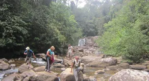 Sinharaja Rest - Image 4