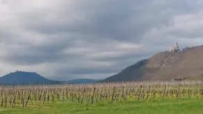 Gite Au Nid De Cigognes - Image 3