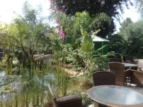 Palm Haven - Image 5