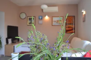 Holiday home Manuela - Image 4