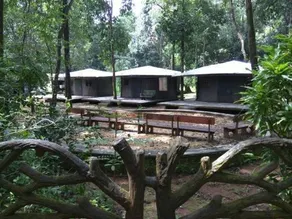 Anejhari Butterfly Park by jungle Lodges - Image 4