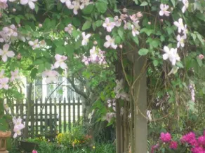 Rossmore Cottage - Image 4