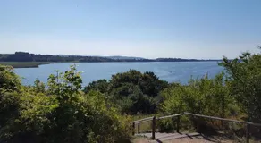Ferienwohnung Rugen 1, Alt Reddevitz 108, Insel Rugen, mit Kamin, Sauna Nutzung moglich - Image 4