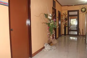 Edam & Ace Hostel - Image 3