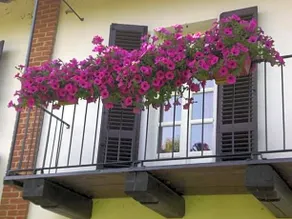 B&B Raggio Di Sole - Image 3