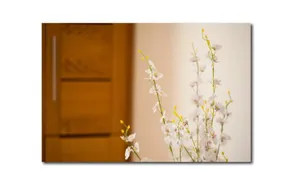 Armonia Suite 303 - Image 4