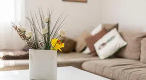 Boban Sunny Apartment - Image 5