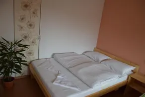 Felszegi Vendeghaz - Image 2