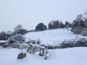 Holly Cottage - Image 5